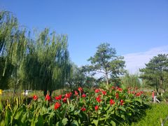 -绿堤公园
