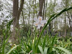 -罗家巷子休闲庄自助碳烤