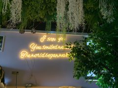 -Husky Go! 哈士奇体验馆·宠物咖啡厅狗咖