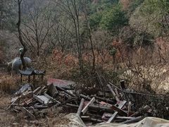 -木兰云雾山