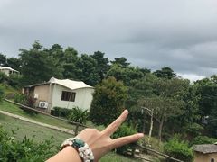 -大树秋千