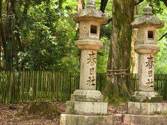 -奈良公园