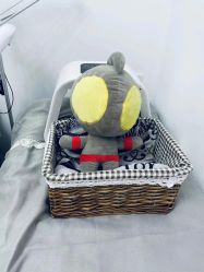 -杉惠素颜美妆皮肤管理中心