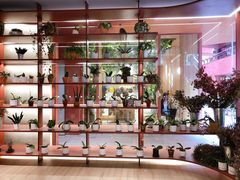 -二酉书店TOYOU BOOKS