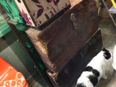 -猫咪博物馆(顶澳仔猫街店)