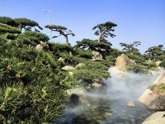 -罗红摄影艺术馆