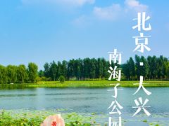 -南海子公园