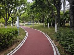 -厦门国家会计学院