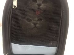 -汪喵宠物医院·骨科心脏影像·犬猫急重症ICU诊疗中心(成华分院)