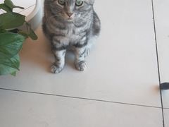 -平行世界·猫咖(首经贸店)
