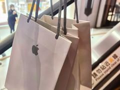 -Apple 零售店(Causeway Bay)