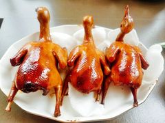 -优护优家Ucare月嫂育儿嫂陪伴师(静安店)