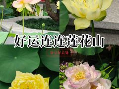 -广州莲花山旅游区