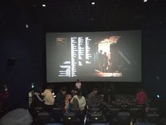 -SFC上影影城(北京大兴龙湖天街IMAX店)