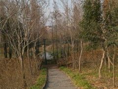android_upload_pic-新江湾城公园