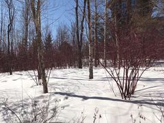 -长白山万达喜来登度假酒店