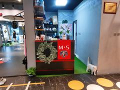-M.S拳击泰拳馆(大学路店)