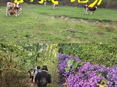 -哈尔滨北方森林动物园