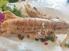 -友强·23年特色海鲜大排档(厦门店)