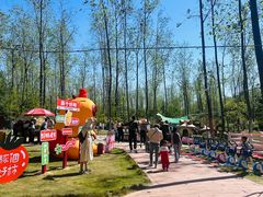 -合肥滨湖国家森林公园