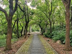 -虞山风景区