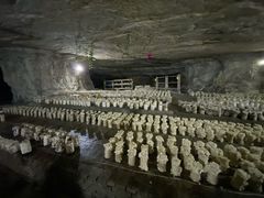 -仙蘑洞
