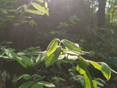 -杭州黄龙洞