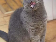 -Rabbit Cafe私房西餐甜点咖啡(栖霞路店)