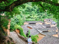 -杨家堂村