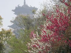 -杭州半山国家森林公园