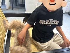 -琪喵猫屋·撸猫猫咖·猫舍