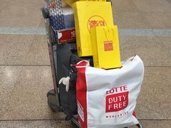 -新世界百货(明洞总店)