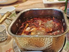 -清真军邺·金富苑肥牛(石坡街旗舰店)