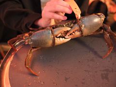 -Ministry of Crab•MOC(交子大道店)