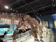 -国家自然博物馆