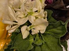 锦绣前程-狮王府淮扬菜(新街口友谊店)