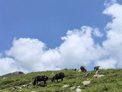 -灵山