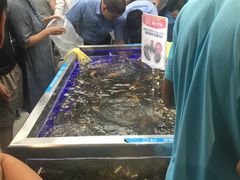 -盒马鲜生(大成店)