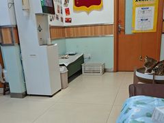 -宠福鑫动物医院(城北分院)