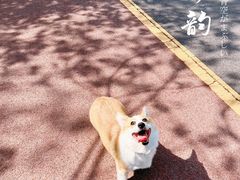 -天津东丽湖风景区