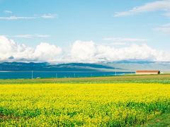 -青海湖国家重点风景名胜区