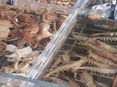 -浩运·海鲜青岛菜·海胆水饺(石老人店)