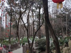 -绵阳人民公园(涪城区)