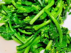 炝炒白油菜-院8里·少城记忆老川菜(宽窄巷子店)