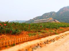 -密云玫瑰情园