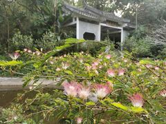 -深圳国际园林花卉博览园