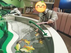 -meland club亲子乐园(石家庄万象城店)