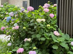 -木守西溪溪隐餐厅