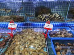 水产区-必点海鲜·鲅鱼水饺(鞍山西道店)