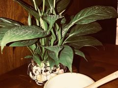 -莲香西域·正宗新疆菜(龙华店)